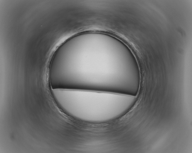 X0000112911367200908240958