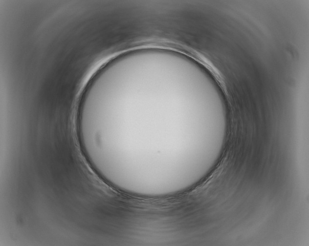 X0000112911368200908240958