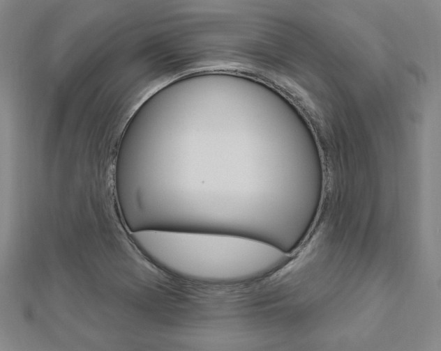 X0000112911369200908240958