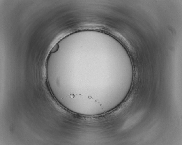 X0000112911370200908240958