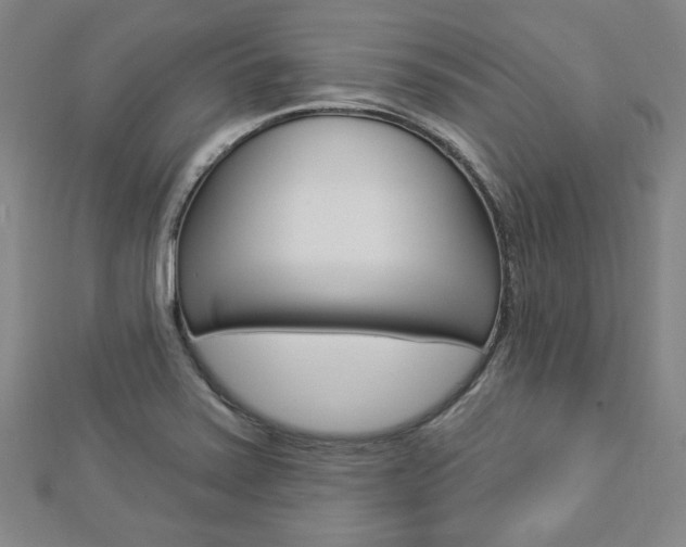 X0000112911371200908240958