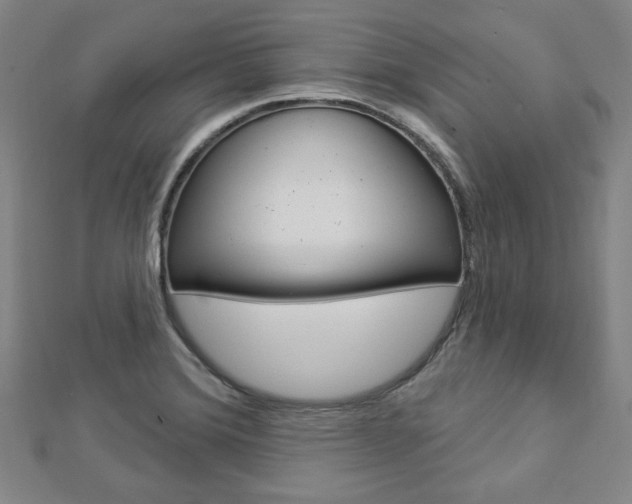 X0000112911372200908240958