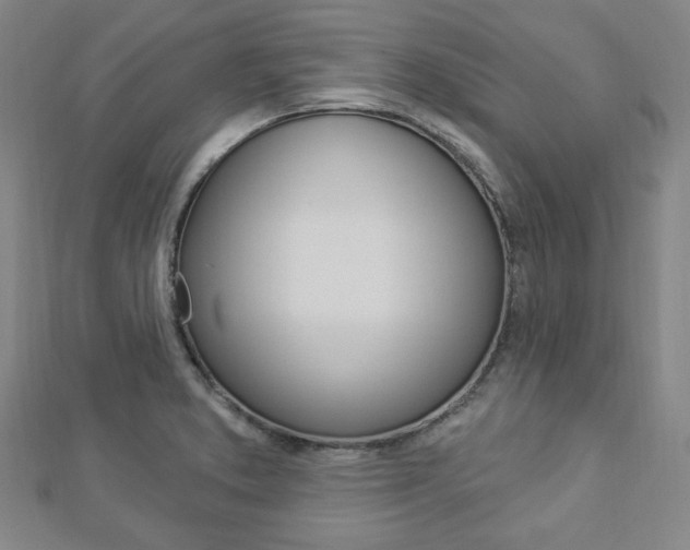 X0000112911373200908240958