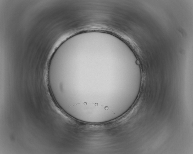 X0000112911374200908240958