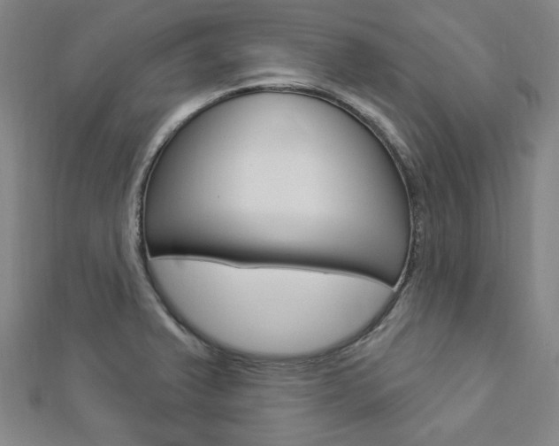 X0000112911375200908240958
