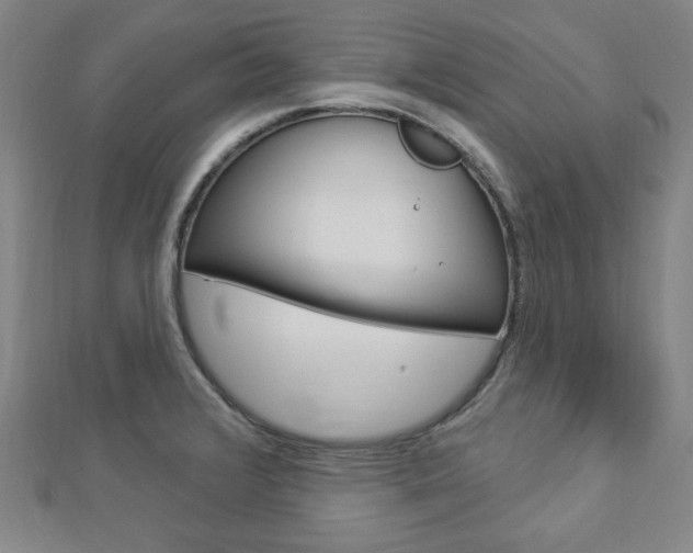 X0000112911376200908240958