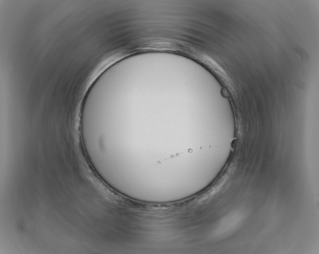 X0000112911378200908240958