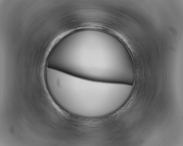 X0000112911379200908240958