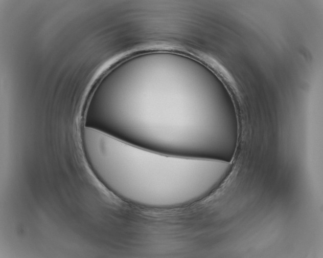 X0000112911380200908240958