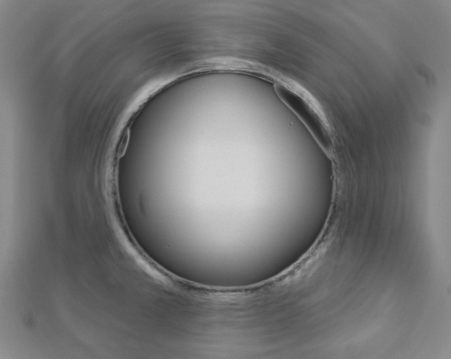 X0000112911381200908240958
