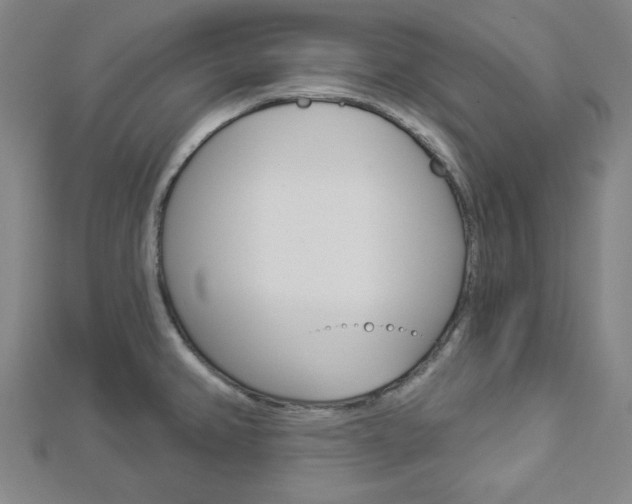 X0000112911382200908240958