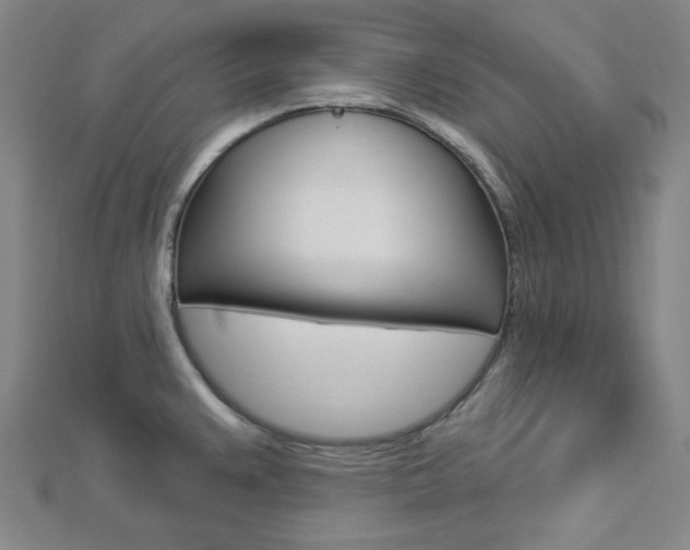 X0000112911383200908240958