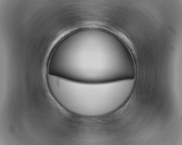 X0000112911384200908240958