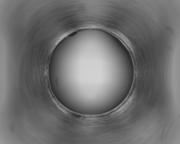 X0000112911385200908240958