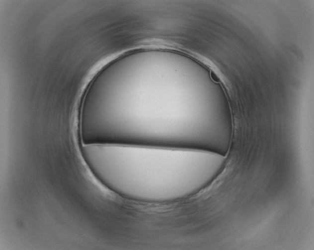 X0000112911387200908240958