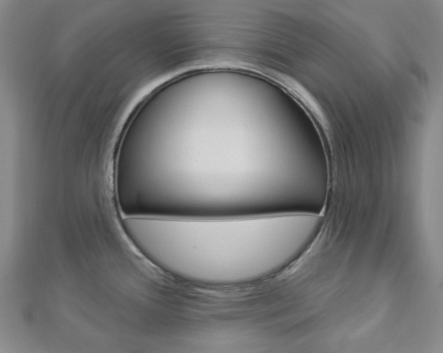 X0000112911388200908240958