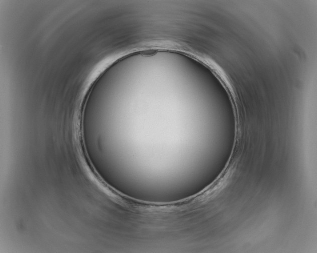 X0000112911389200908240958