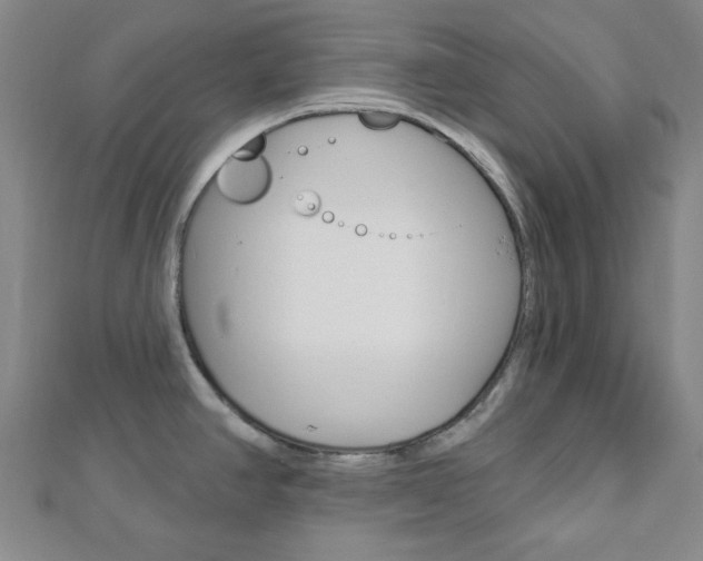 X0000112911390200908240958