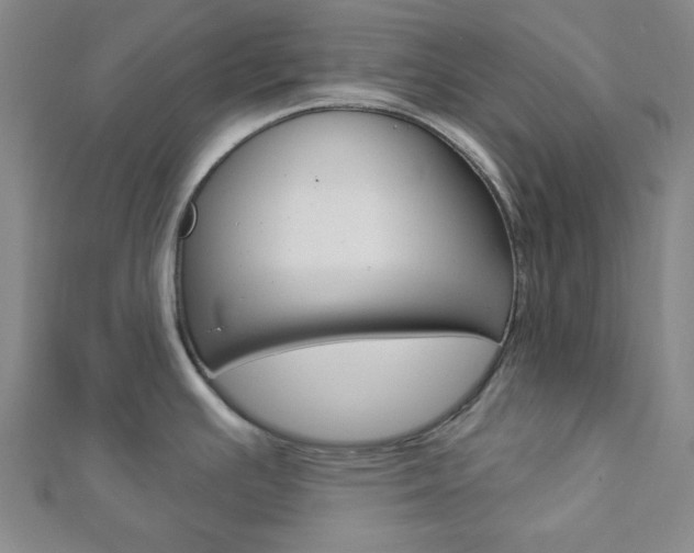 X0000112911391200908240958