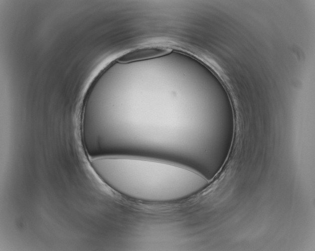 X0000112911392200908240958
