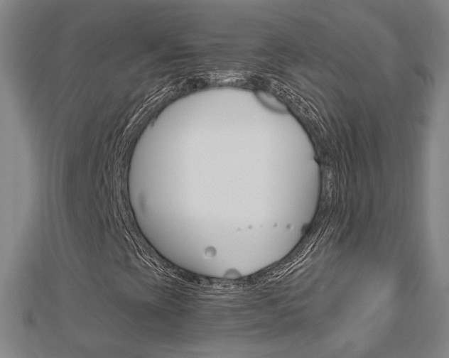 X0000112911393200908240957