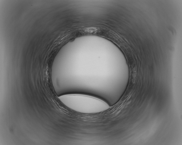 X0000112911394200908240957