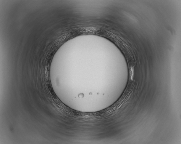 X0000112911395200908240957