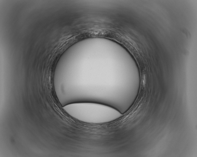 X0000112911396200908240957