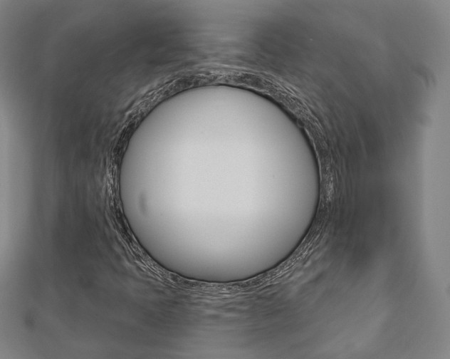X0000112911397200908240957