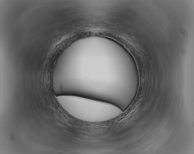 X0000112911398200908240957