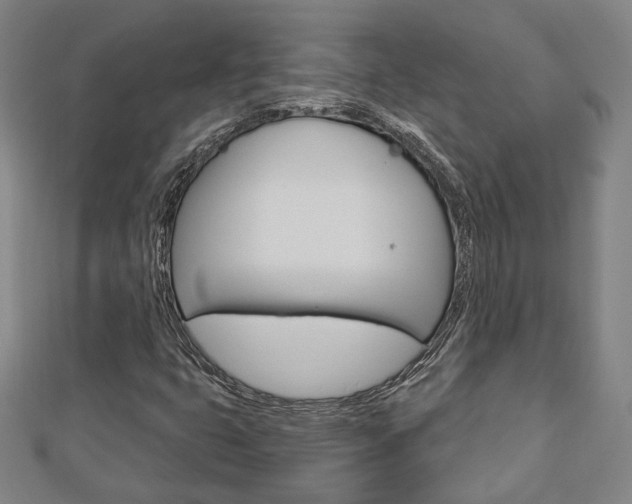 X0000112911399200908240957
