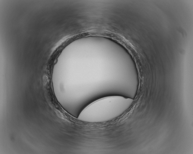 X0000112911400200908240957