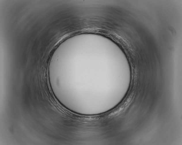 X0000112911401200908240957