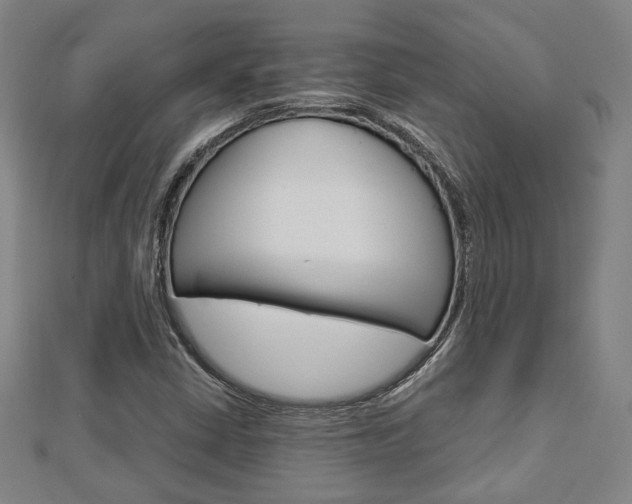 X0000112911402200908240957