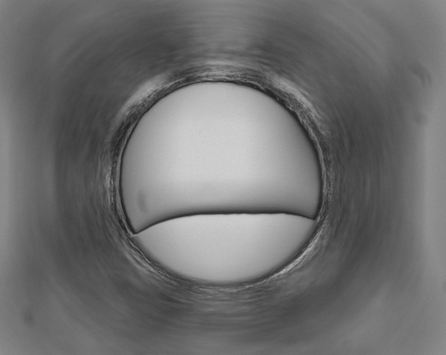 X0000112911403200908240957