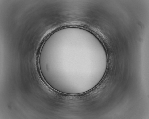 X0000112911404200908240957