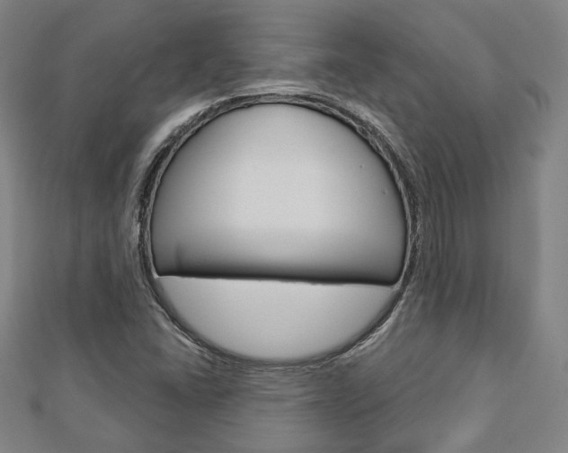 X0000112911406200908240957