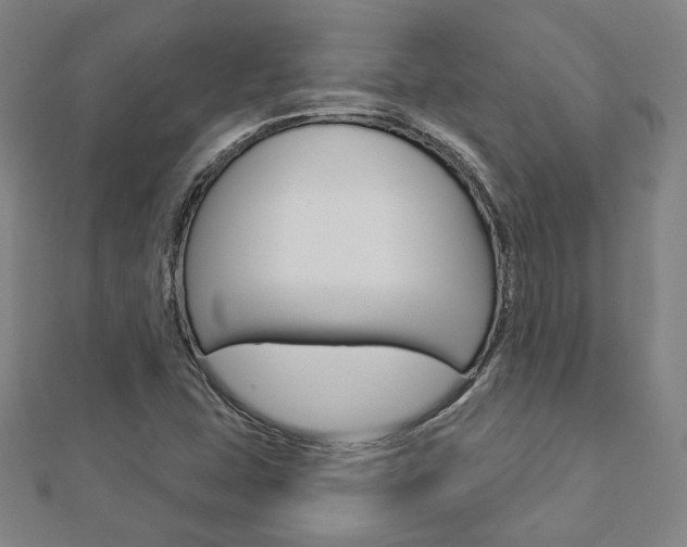 X0000112911407200908240957