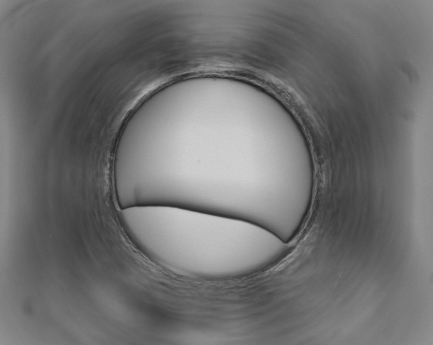 X0000112911409200908240957