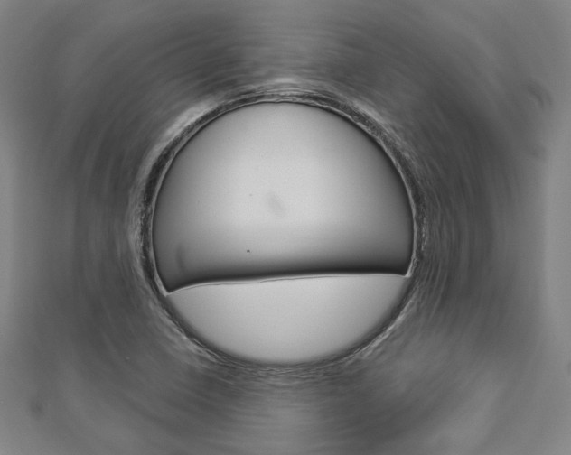 X0000112911410200908240957