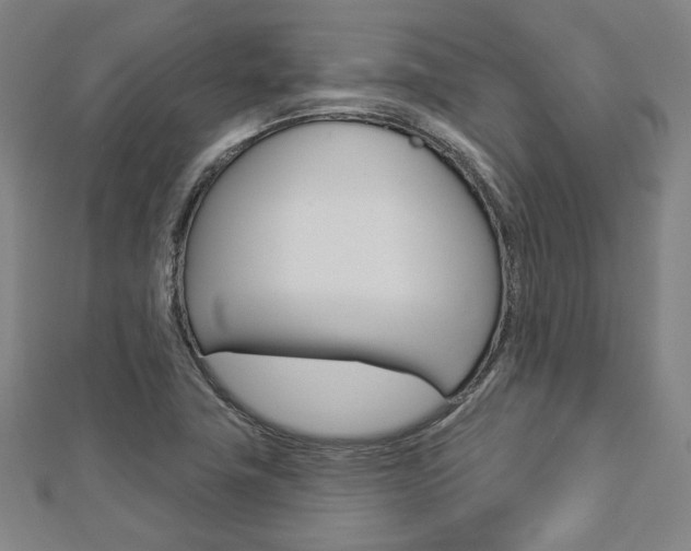 X0000112911411200908240957