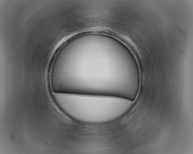 X0000112911412200908240957
