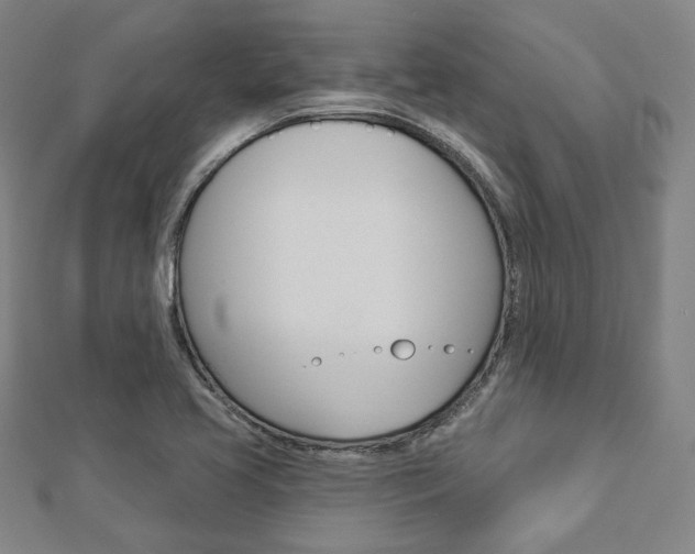 X0000112911413200908240957