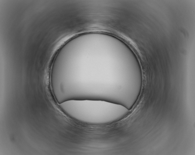 X0000112911415200908240957