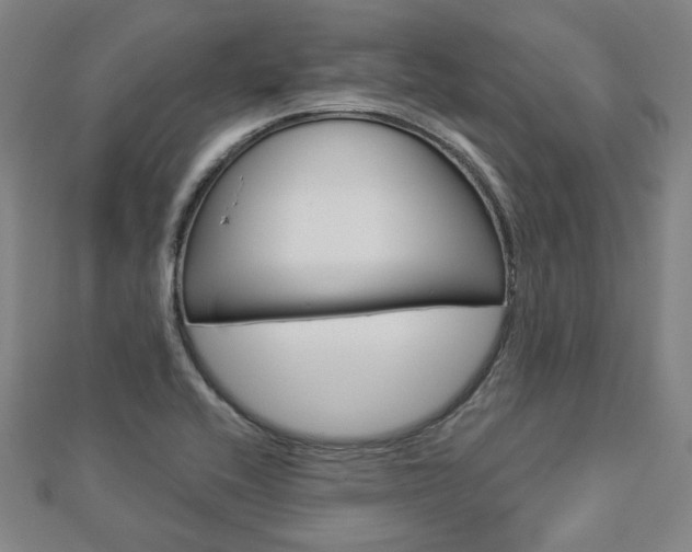 X0000112911416200908240957