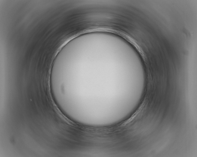 X0000112911417200908240957