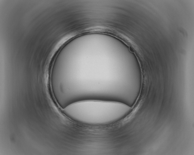 X0000112911418200908240957