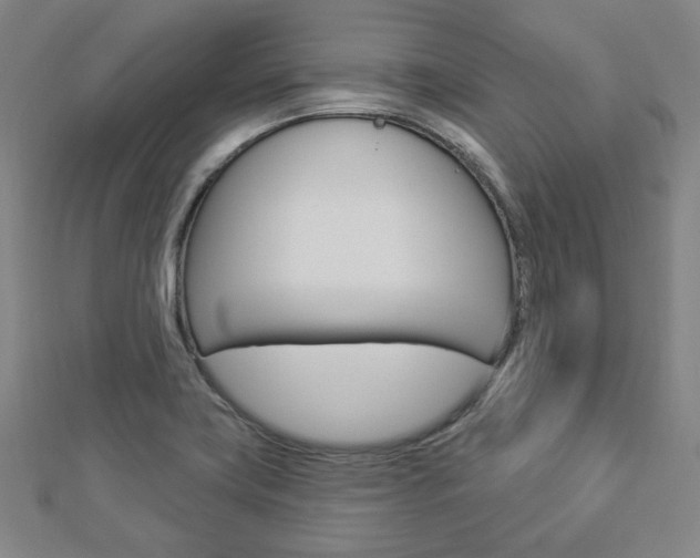 X0000112911419200908240957