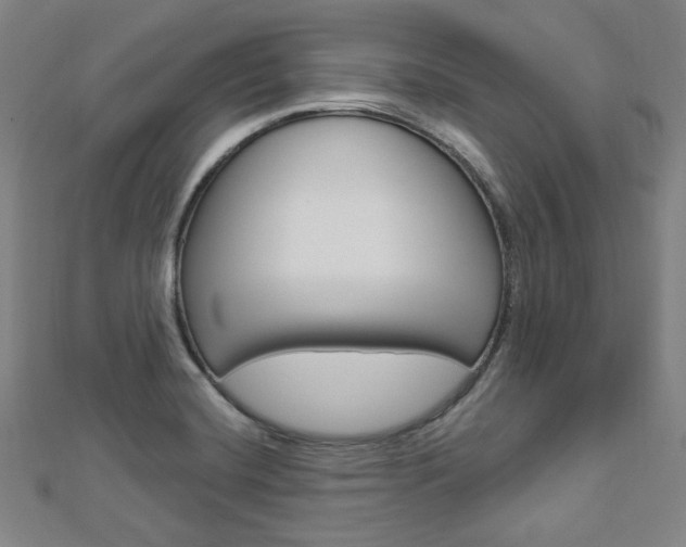 X0000112911420200908240957