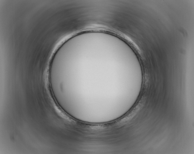 X0000112911421200908240957
